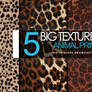 5 Textures: animal print