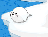 Animated Baby Seal: Am alone