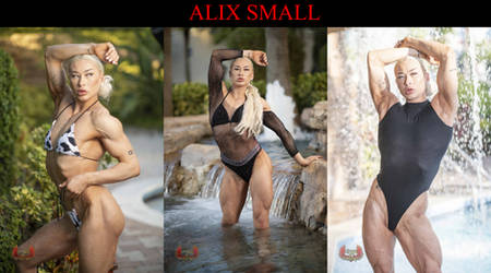 Alix Small Gallery by PokeEmblemDefault