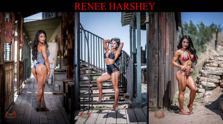 Renee Harshey Gallery by PokeEmblemDefault