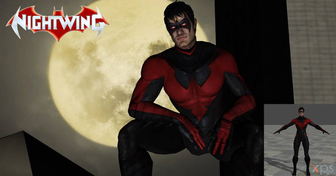 New 52- Nightwing Costume #2