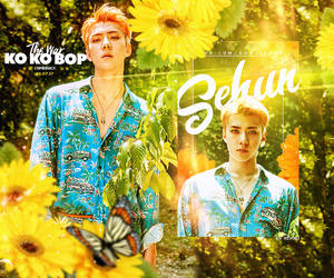 EXO-Sehun {psd}