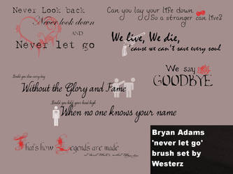 Bryan Adams 'Never let go' brush set