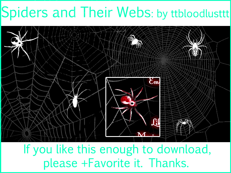 Spiders and their Webs