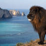 Endemic Black Spotted Lion on the shore