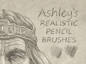 Pencil Brush Set by Ashley Walters