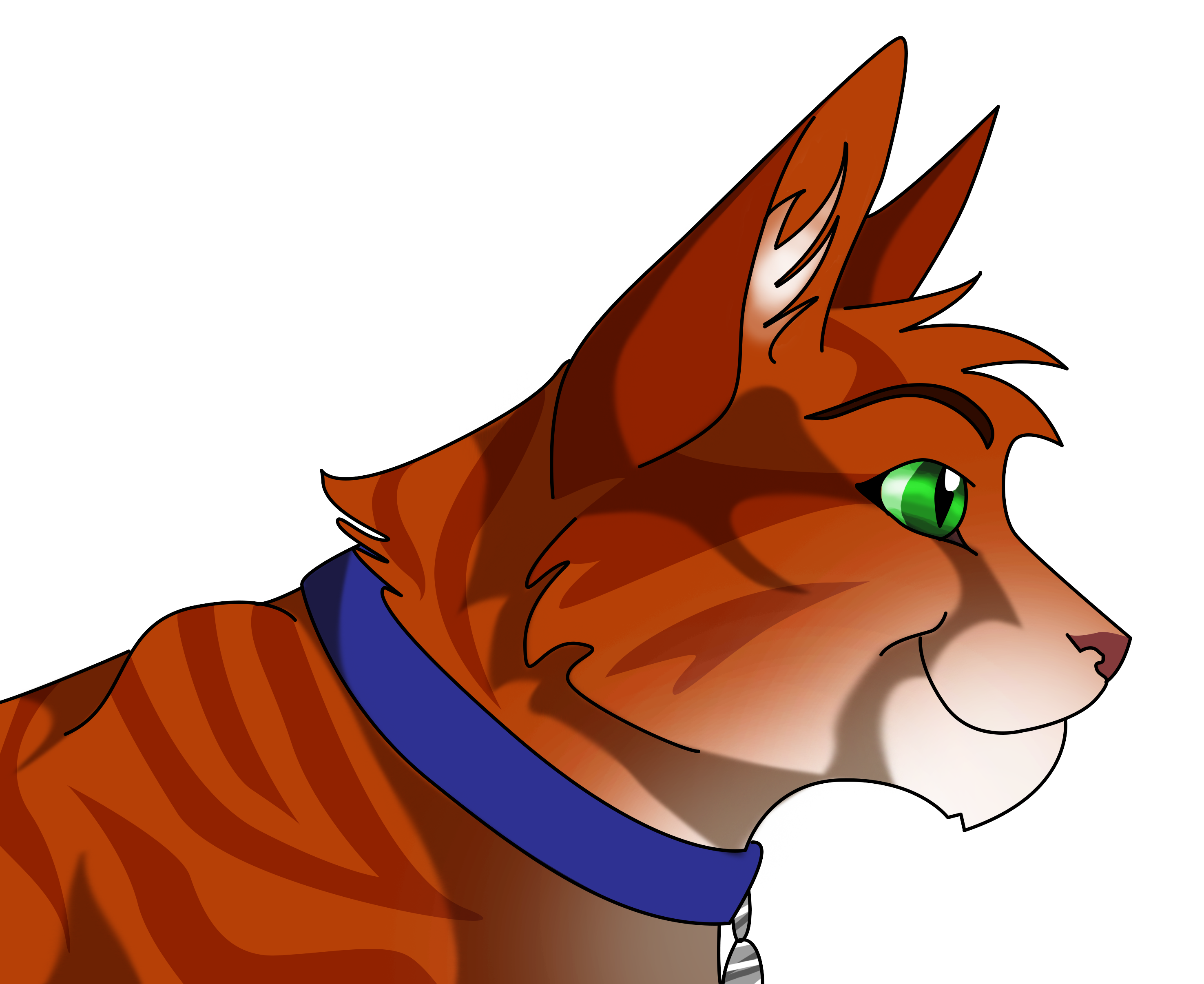 Jake Warriors by CaptainMorwen on DeviantArt