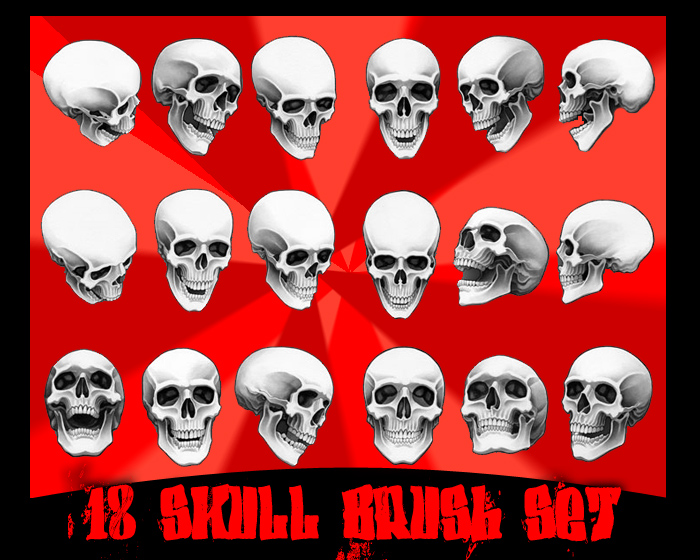 18 skull brushes