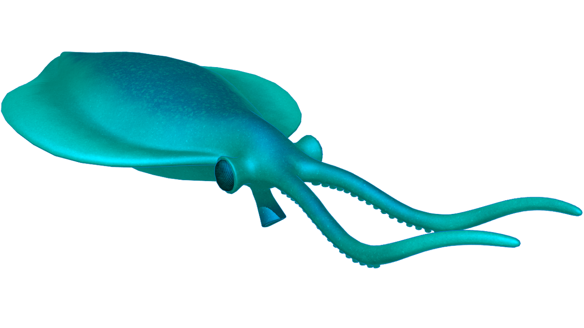 Nectocaris MMD DL by ChrisM199 on DeviantArt