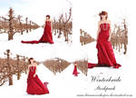 Winterbride stockpack 21pc by PumpkinPhotography