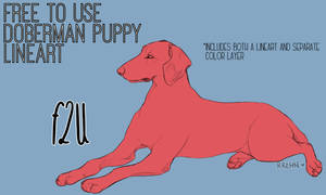 F2U Doberman Puppy Lineart