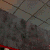 Foxy's Puppy Kisses (Chat Icon)