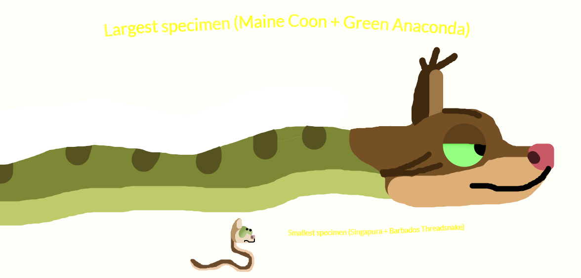 Cat Snakes By Naturenut190 On Deviantart Cat Snakes By Naturenut190 On Deviantart