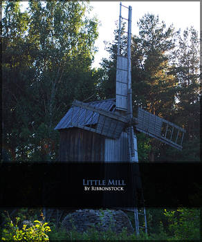 Little Mill