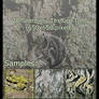 Seamless Tree Bark Textures 1