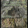 Tree Bark Textures Zip Pack 1