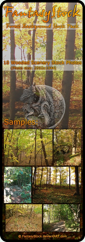 Forest Backgrounds Zip Pack 2