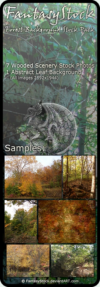 Forest Backgrounds Zip Pack 7