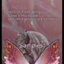 Pink Pixie Wings Zip Pack 1