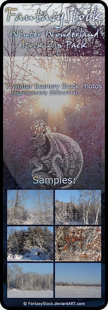 Winter Wonderland Stock Pack by FantasyStock