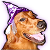 Free Avatar: K-9 Witch