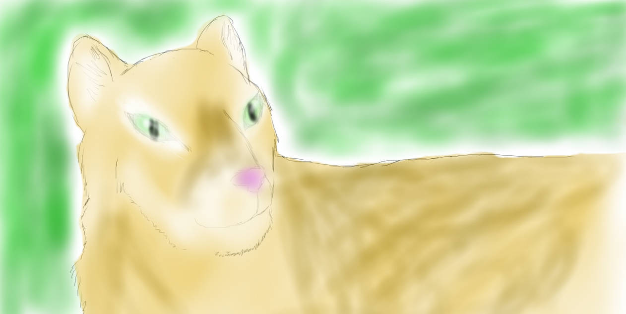 Puma by TOYLANDPICTURES on DeviantArt