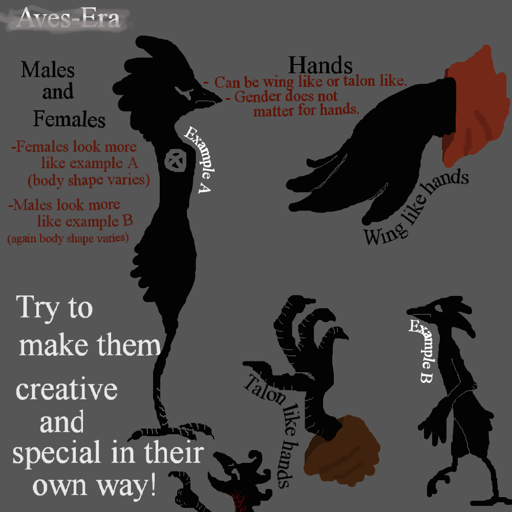 Bird Evolution Deviantart Aves-Era DeviantArt Gallery