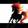 Fire Horse - Chinese New Year 