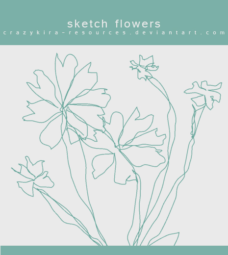Flowers .4