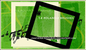 polaroid brushes