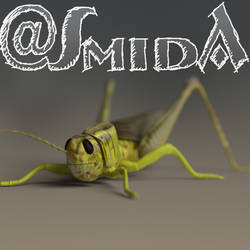 Freebie - SmidA+Jobojobo - Grasshopper by SmidA460