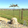 Freebie - SmidA - Statue of a Swimmer