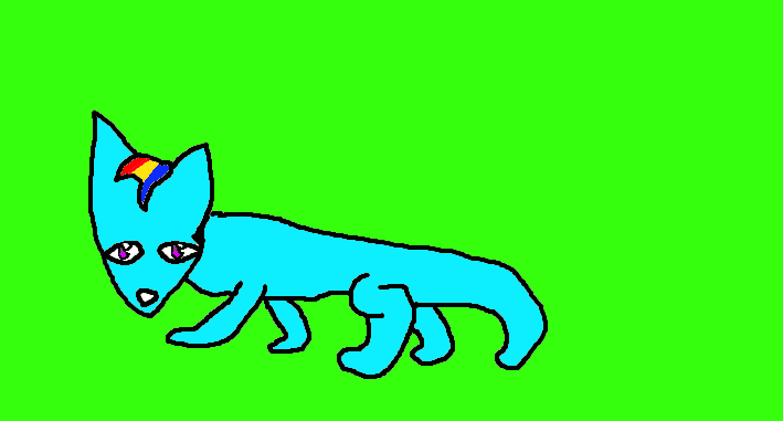 rainbow dash as a cat by martinpop56 on DeviantArt