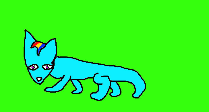 rainbow dash as a cat by martinpop56 on DeviantArt