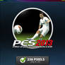 Pro Evolution Soccer 2013 Icon