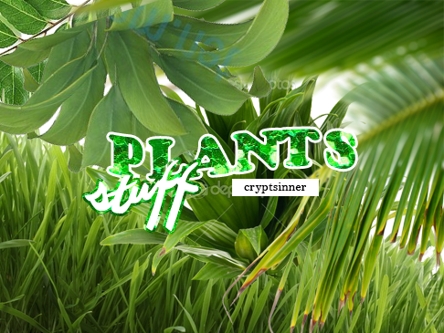 Plants stuff