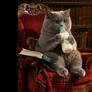 Dancing Cat 