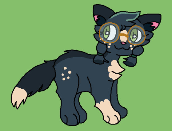 Willow as a cat (design) by kittygirl2210 on DeviantArt
