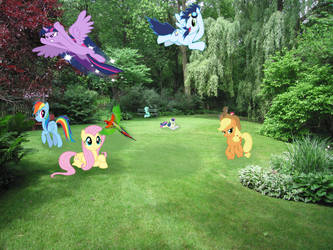 Ponies Are In My Back Yard!!! MLP IRL #1