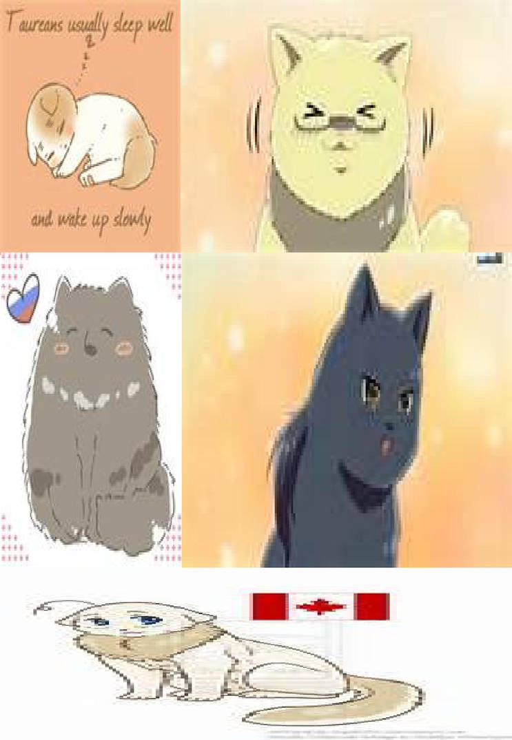 Cat Allies x Kitten reader part 2 by NaniNuggets on DeviantArt