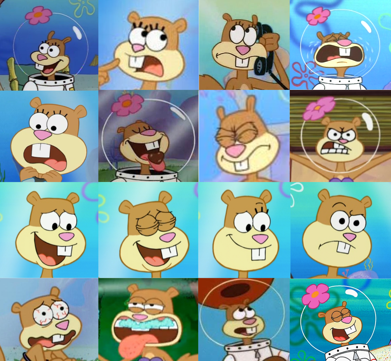 Sandy Cheeks Funny Face