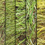 Grass Texture Pack