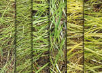 Grass Texture Pack