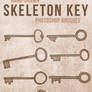 SDWHaven Skeleton Key Brushes