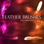 Feather Brushes