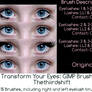 Transform Your Eyes: Brush Set