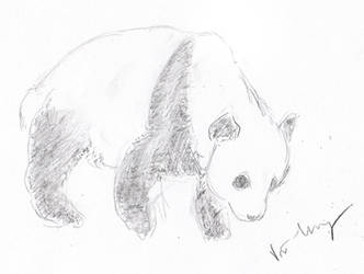 panda sketch