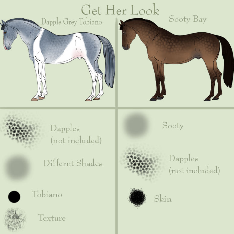 Get Her Look Dapple grey Tobiano and Sooty Bay by EdithSparrow on