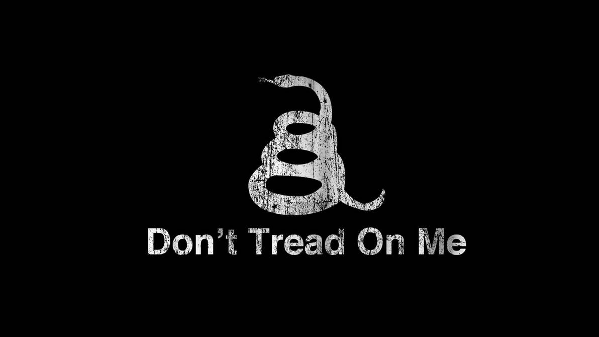 Либертарианцы флаг. Гадсденовский флаг обои. Don t tread on me либертарианство. Змея либертарианства. Don t should on me.