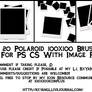 20 Polaroid 100x100 Brushes